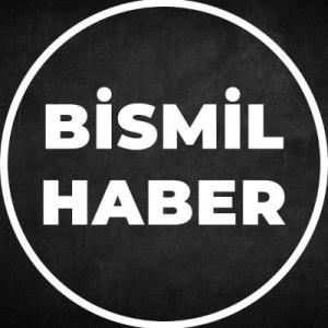 Bismil Haber